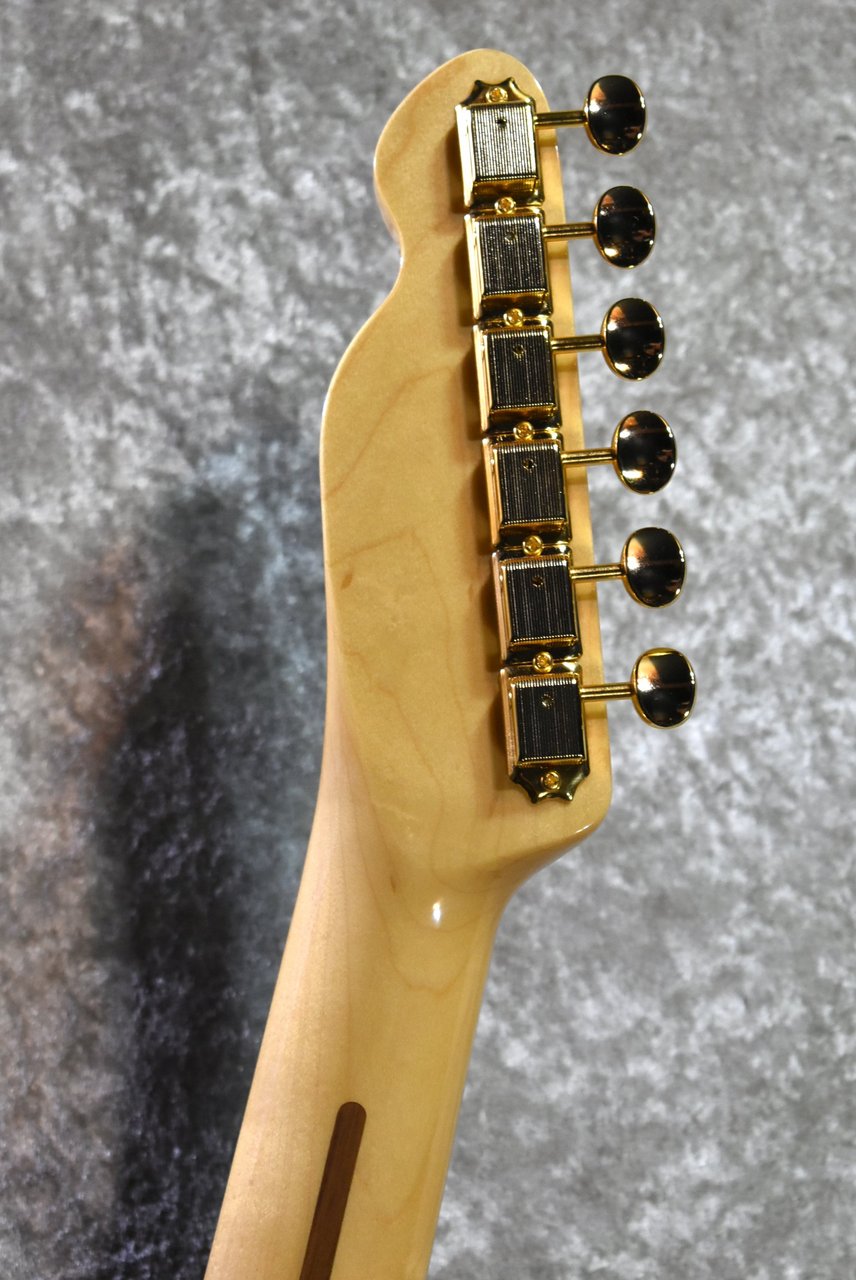 Tokai ATE-101B/G BBR #250632【待望の入荷、漆黒指板、軽量3.56kg