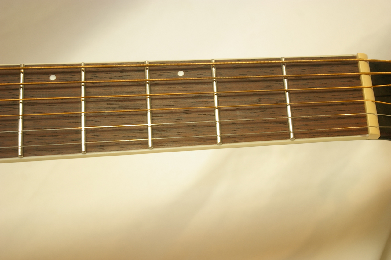 James J-300D （中古）【楽器検索デジマート】