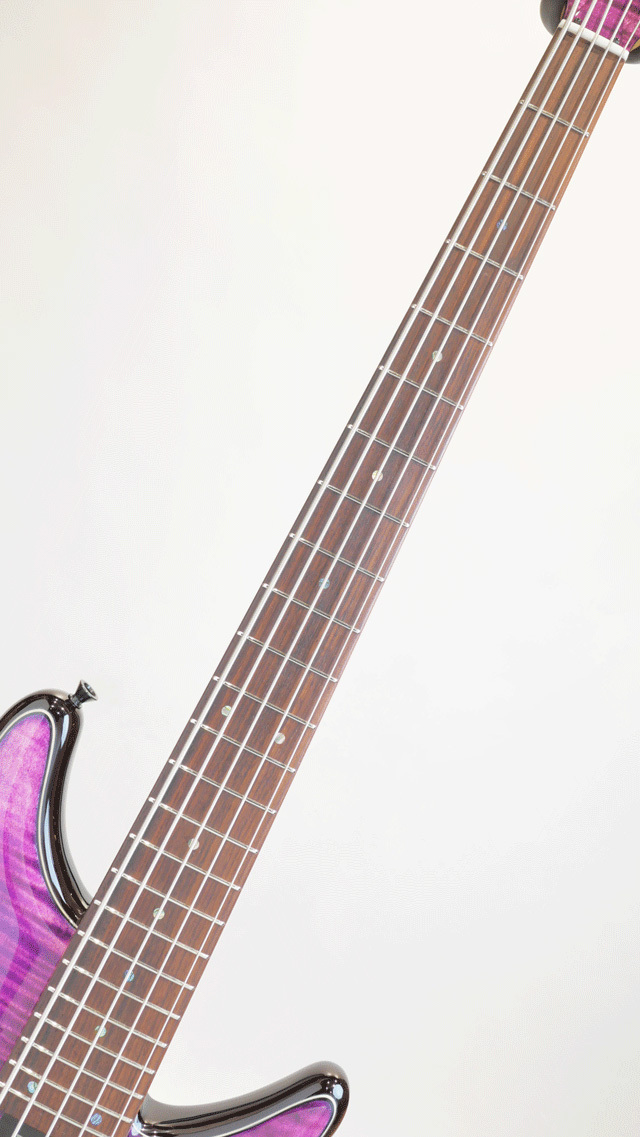 Sugi NB5IR FM / ASH / TRSP（新品）【楽器検索デジマート】