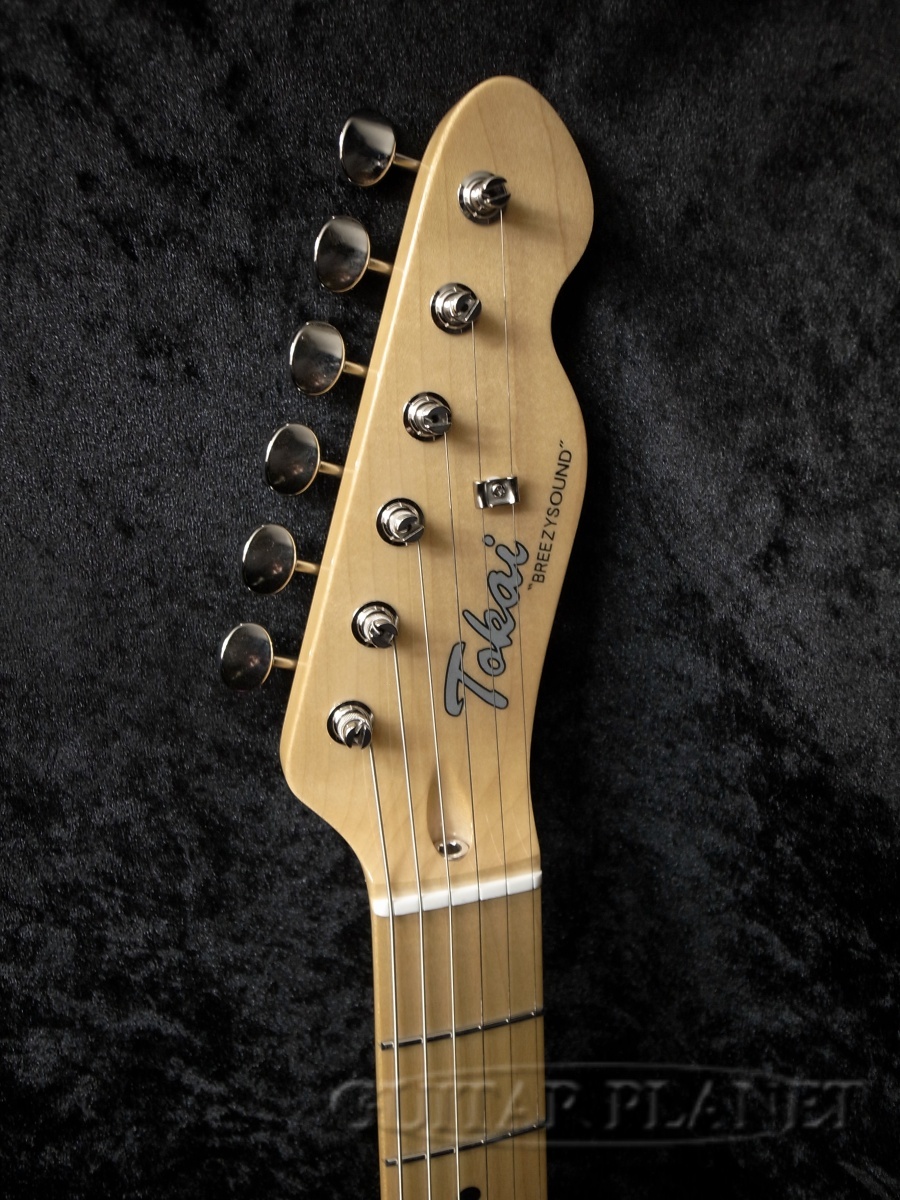 Tokai ATE-101 PRM Pink Paisley 【極少限定生産】（新品）【楽器検索