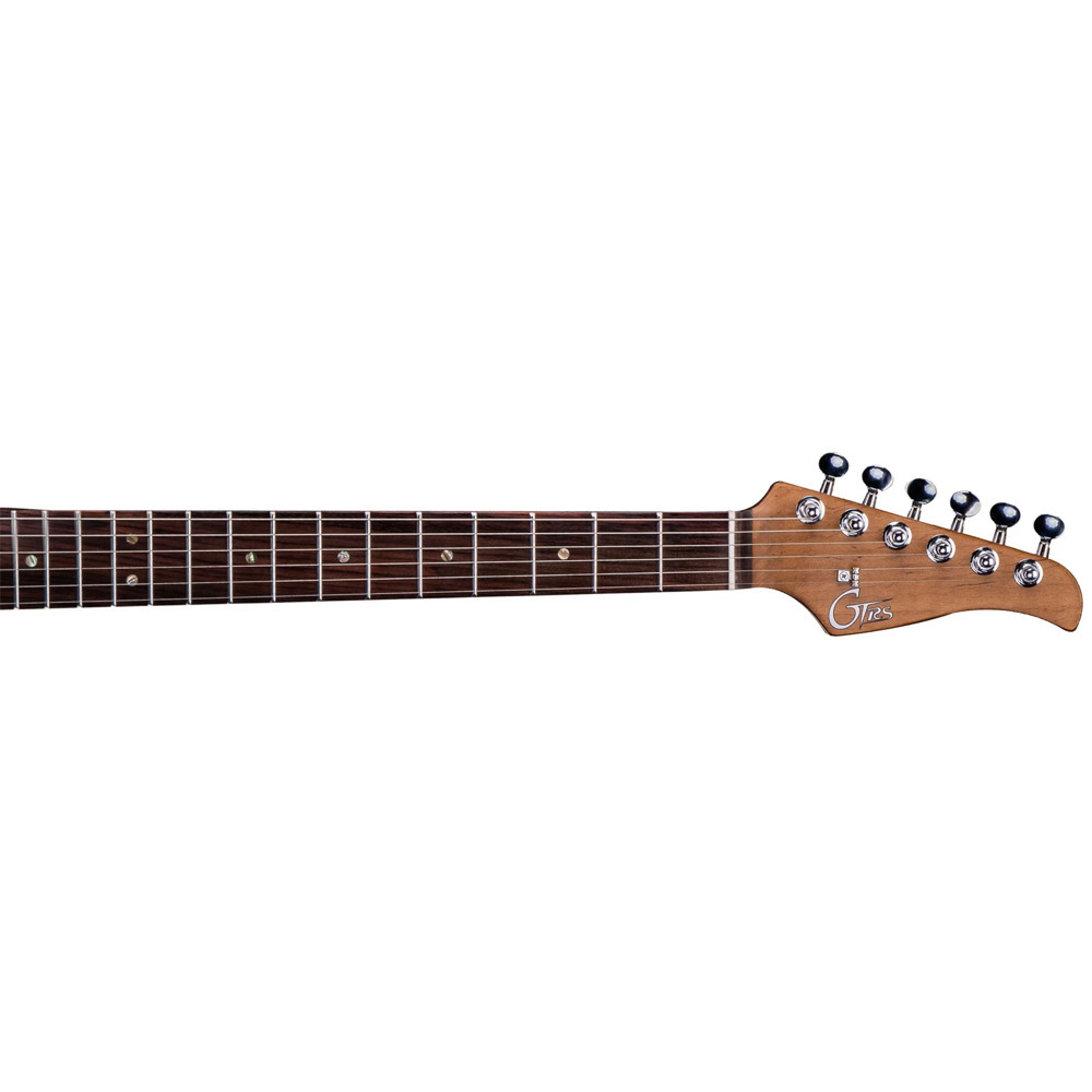 N12 gfc GOT8-200 WASHED PURPLE エレキギター MOOER ムーアー GTRS P800 Dark Purple エレキギター（新品/送料無料