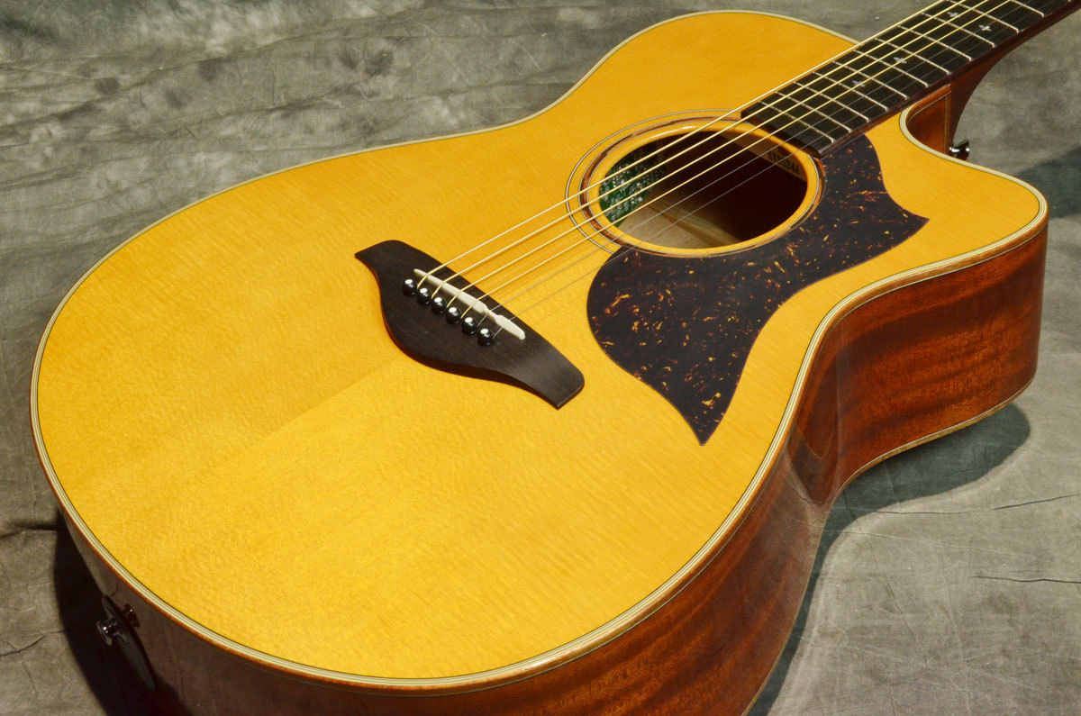 YAMAHA AC5M ARE Vintage Natural【横浜店】（新品/送料無料）【楽器