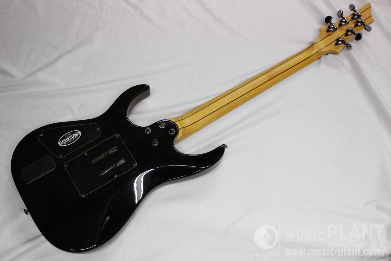 SCHECTER 2013 Banshee-6 FR Active (AD-BS-FR-A)（中古/送料無料