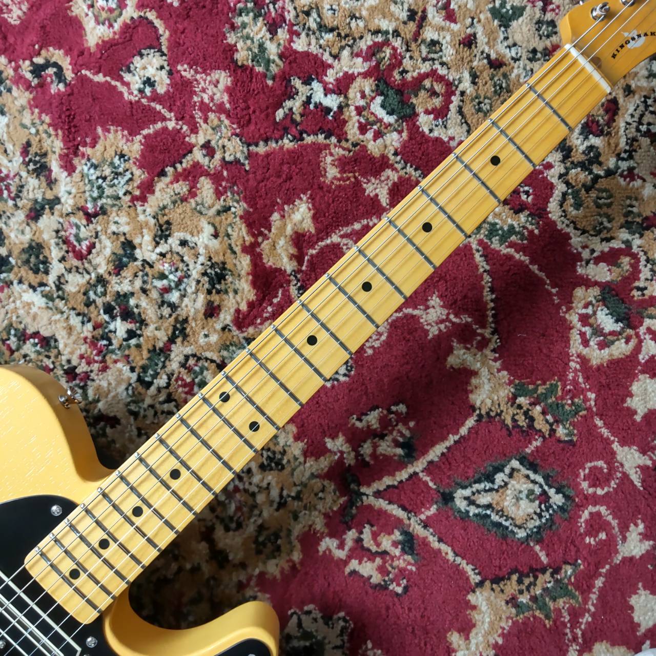 KING SNAKE Sidewinder CC Butterscotch Blonde（新品/送料無料