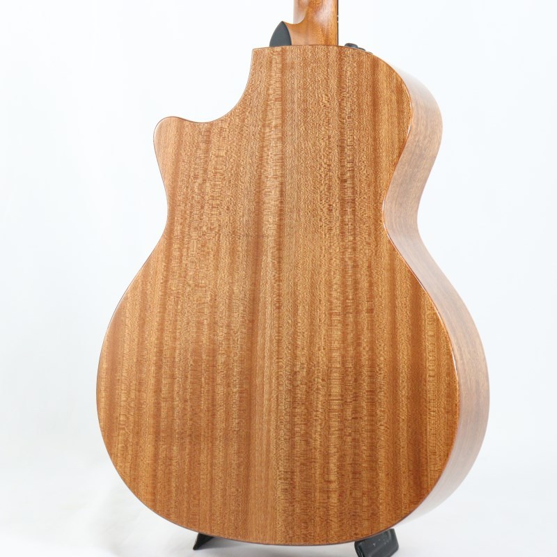 Taylor 314ce Studio Special Edition テイラー（新品）【楽器