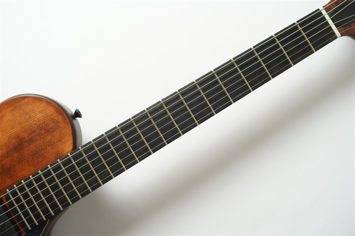 Collectera Faro Sole - Yosuke Onuma Spec（新品/送料無料）【楽器