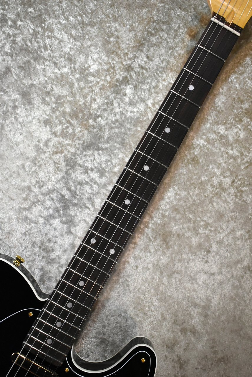 Tokai ATE-101B/G BBR #250234【待望の入荷、3.76kg】（新品）【楽器