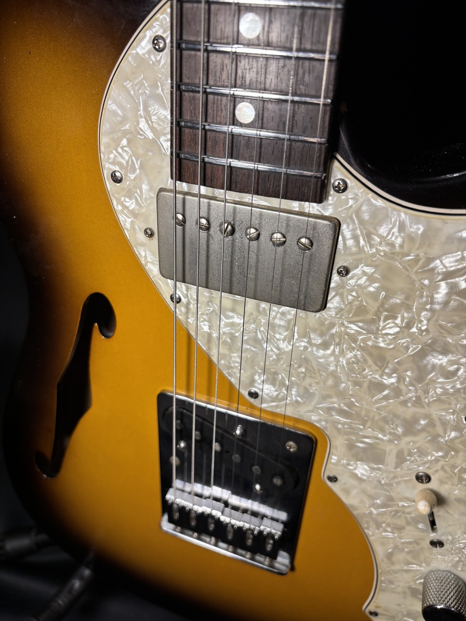 FREEDOM CUSTOM GUITAR RESEARCH Black Pepper 2008年製（中古）【楽器