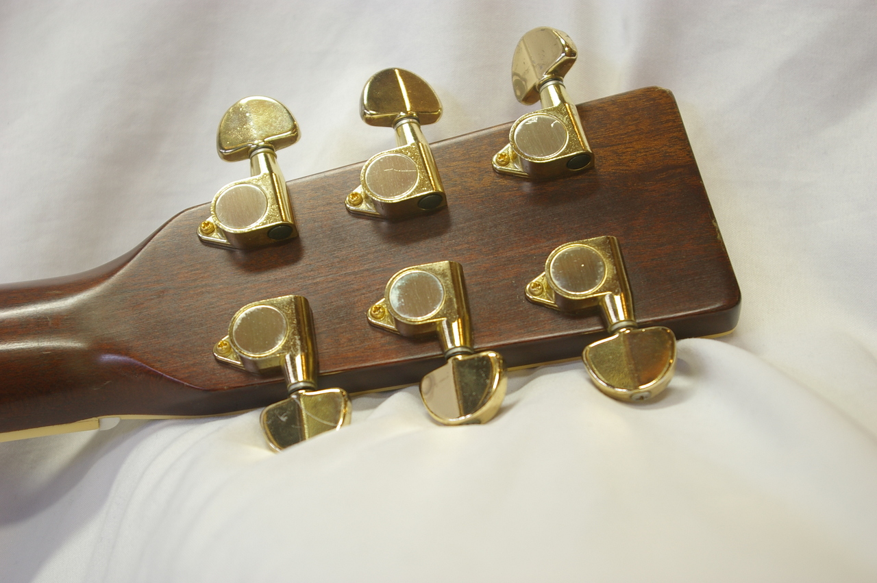 Cat's Eyes TCE-35ST （中古）【楽器検索デジマート】