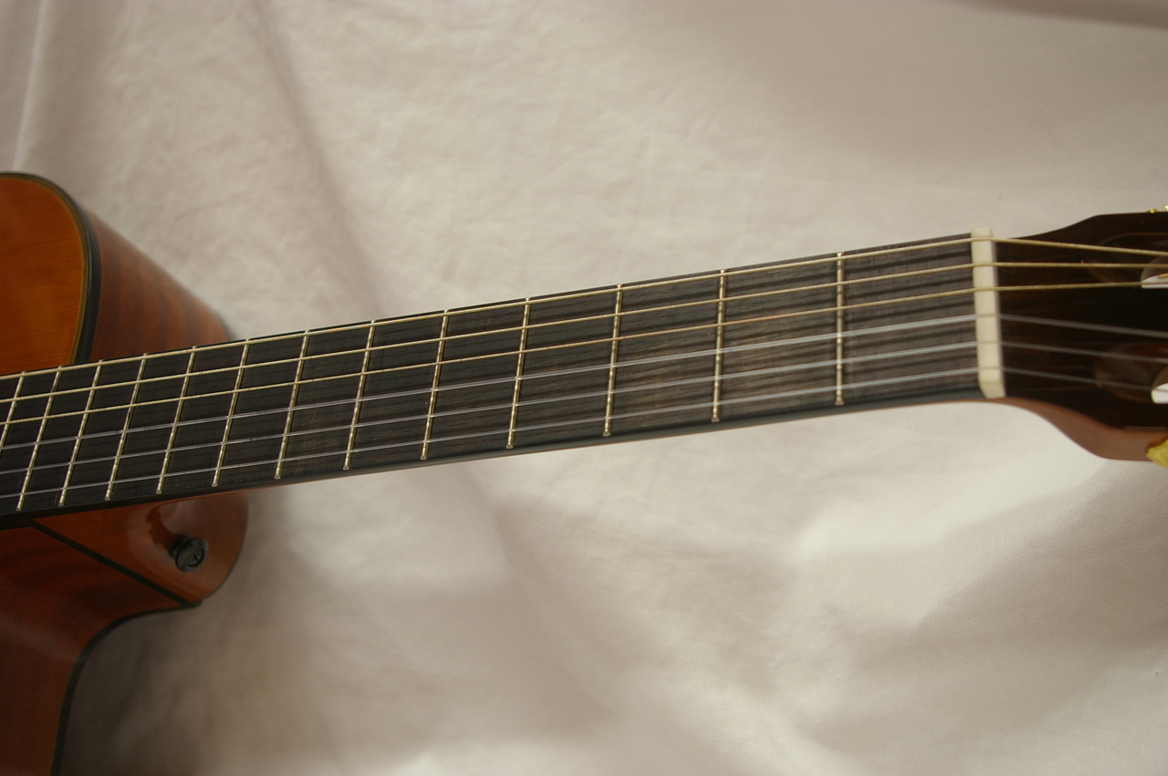 ARIA A-35 CE（中古）【楽器検索デジマート】