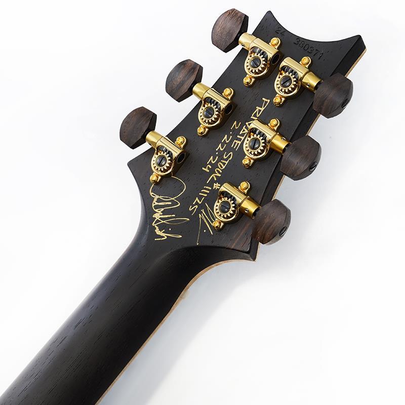Paul Reed Smith(PRS) Private Stock #11125 McCarty 594 Brazilian