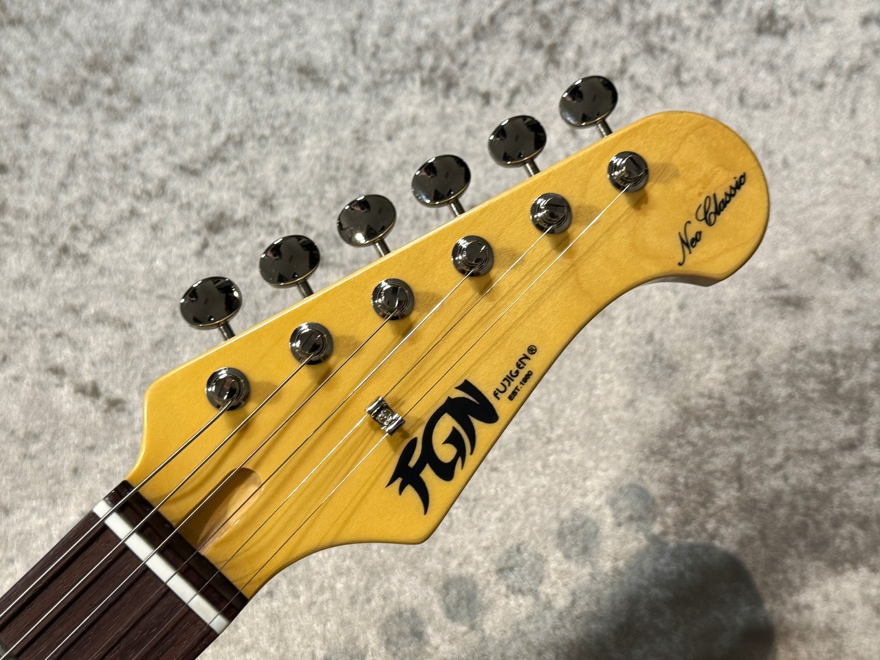 FUJIGEN(FGN) 【唯一無二のルックス!】 NST120RAL ~Black