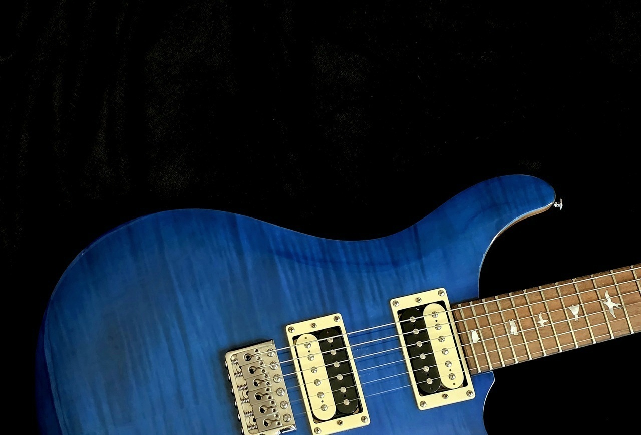 Paul Reed Smith PRS SE Custom 24　中古 Paul Reed Smith(PRS) SE Custom 24（中古/送料無料）【楽器検索