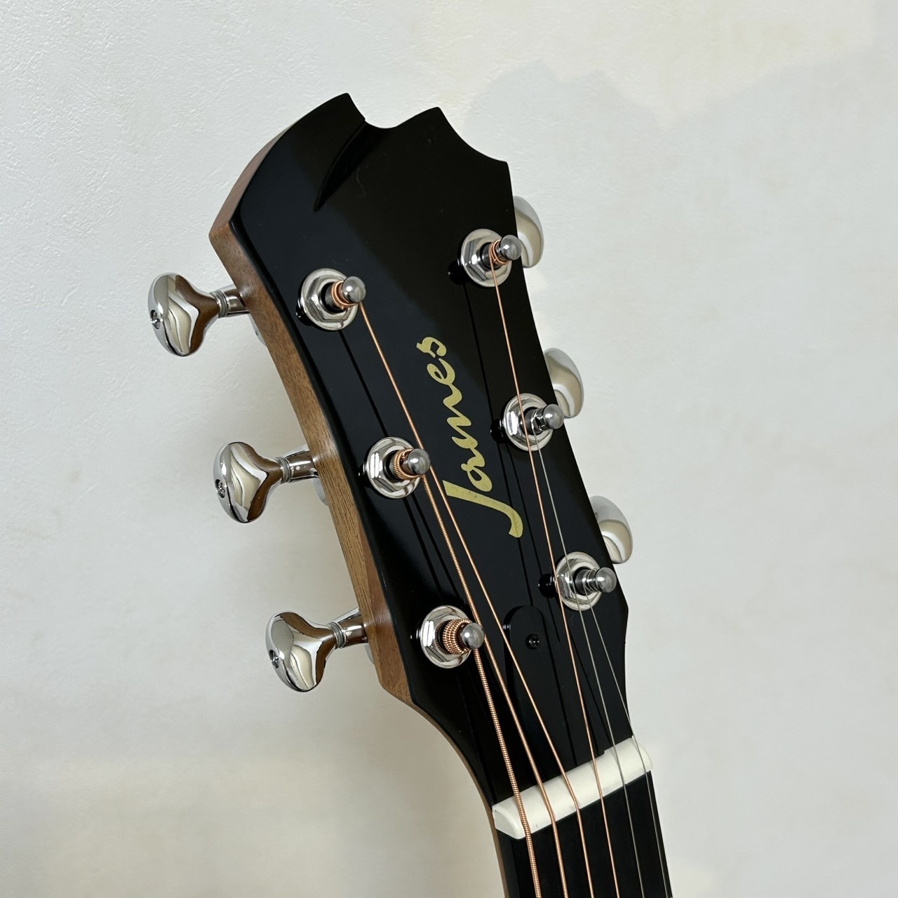 James J-300A II EBU Earth Blue アコースティックギター トップ単板