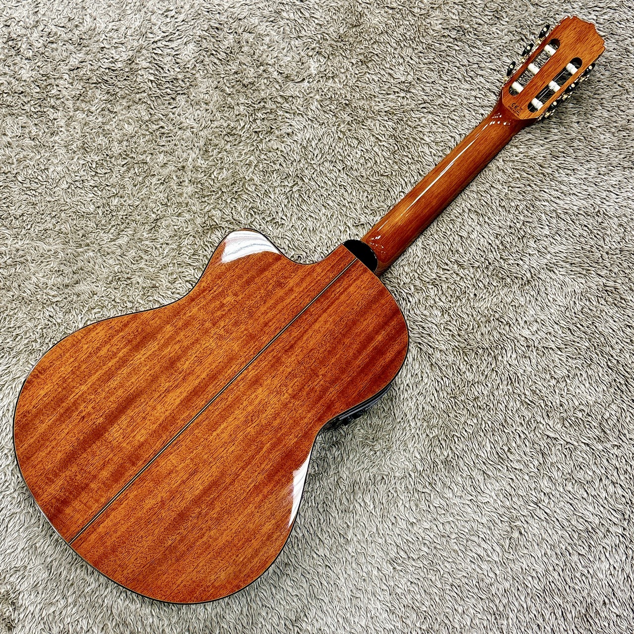 ARIA A-35SCE 【杉 / シダー単板】【エレガット】（新品/送料無料