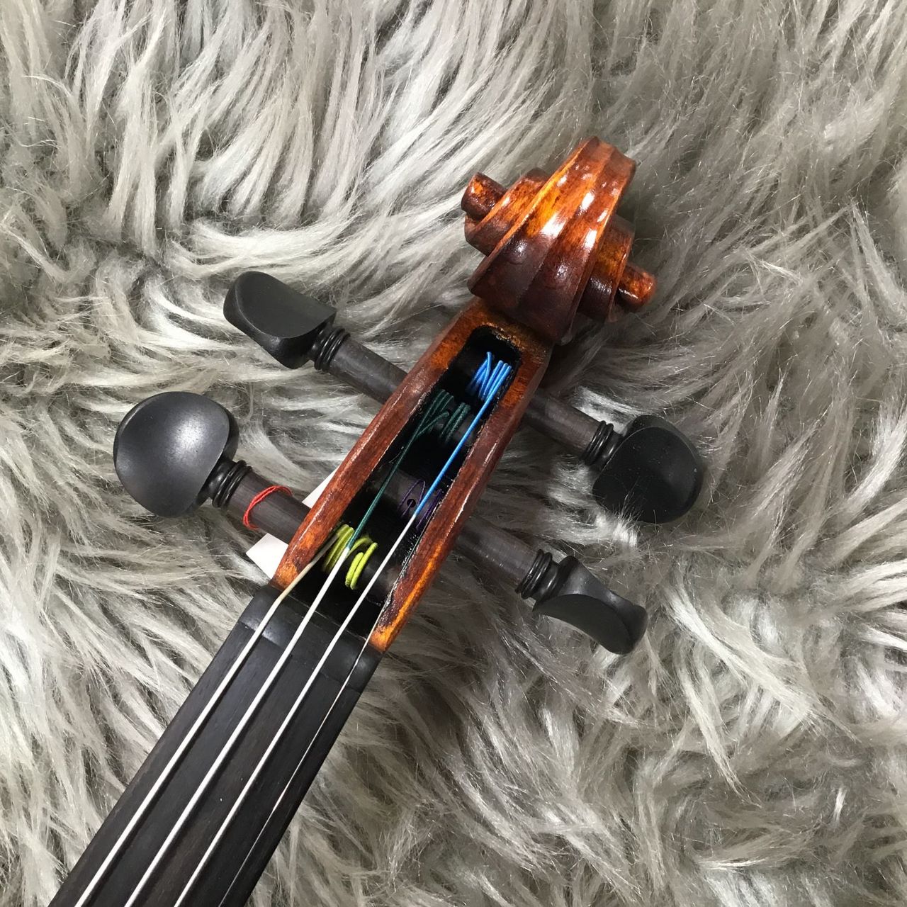 Carlo Giordano VS-S1 4/4 バイオリンセット【現物写真】（新品