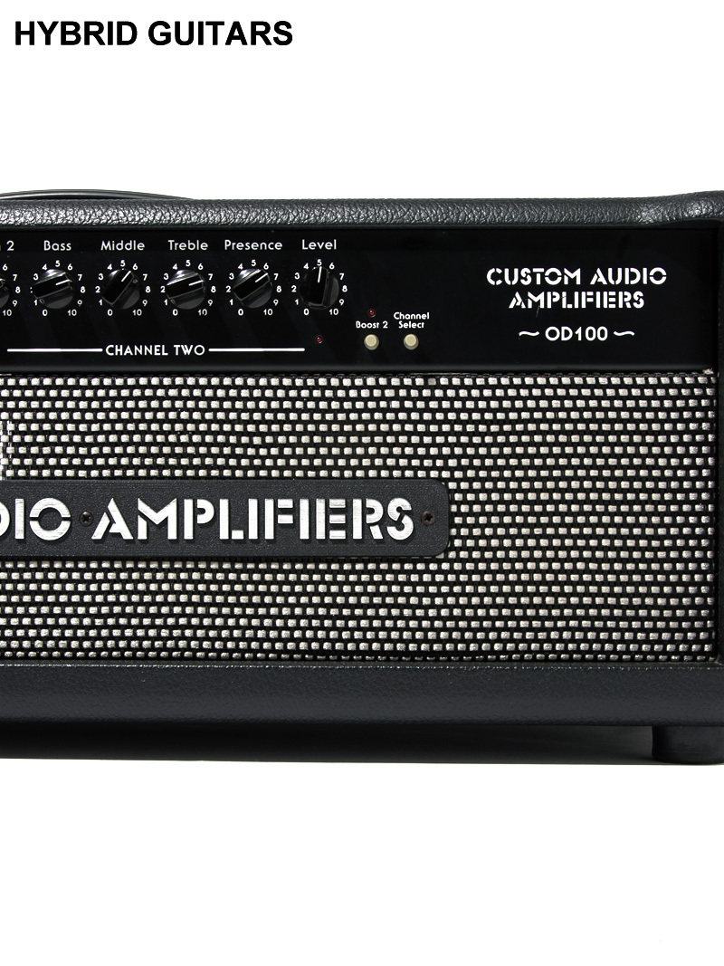 Custom Audio Amplifiers OD100用コンボキャビ-