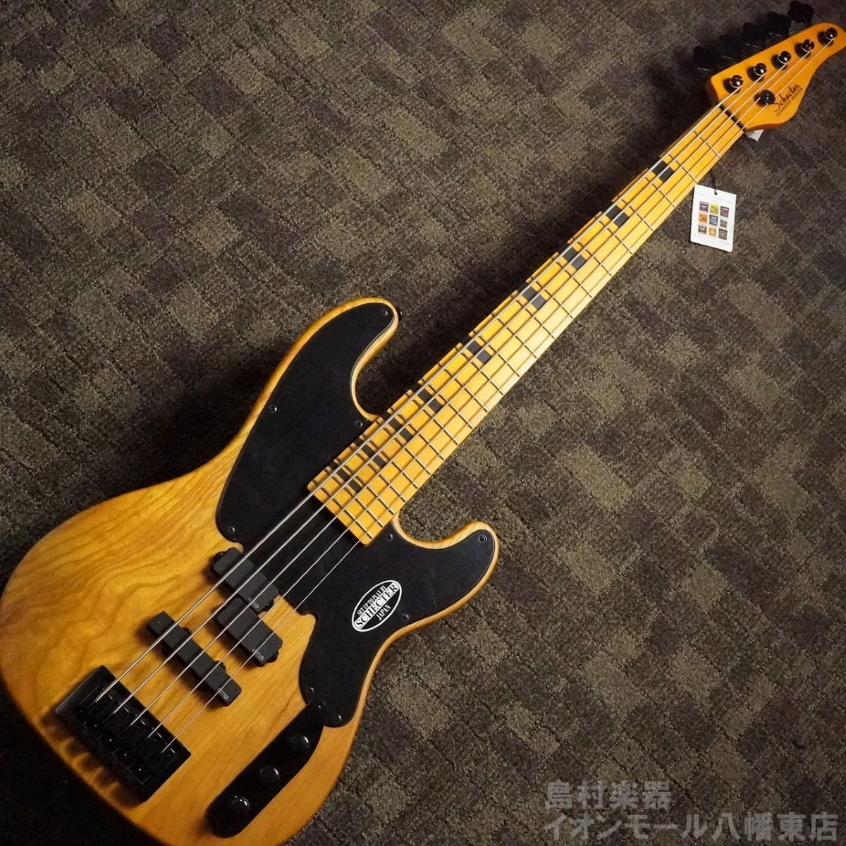 SCHECTER MODEL-T SESSION 5 【TLベース5弦!】（新品/送料無料