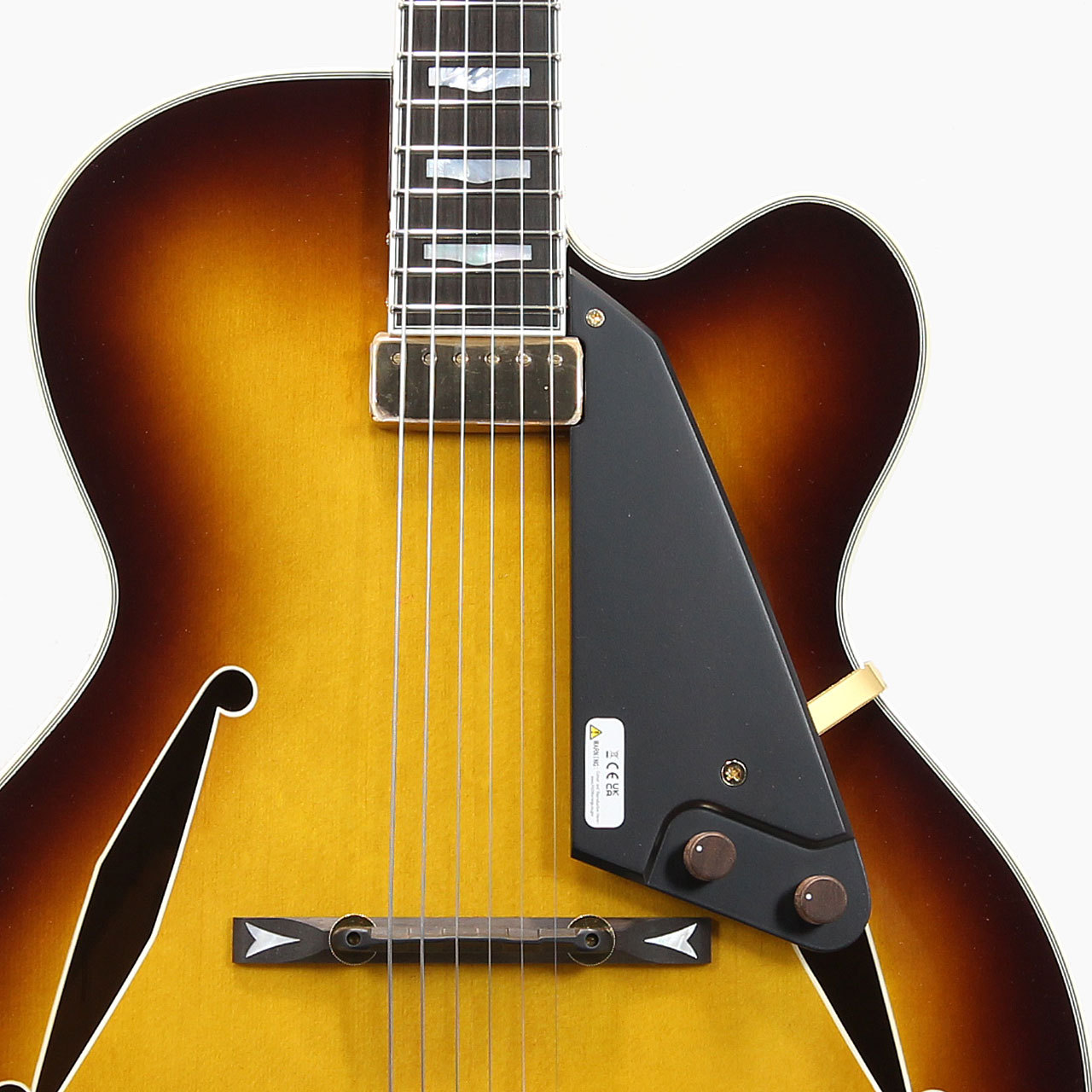 【値下げ】FUJIGEN MFA-FP Jazz Burst FUJIGEN MFA-FP/JB Jazz Burst《フルアコ/エレキギター