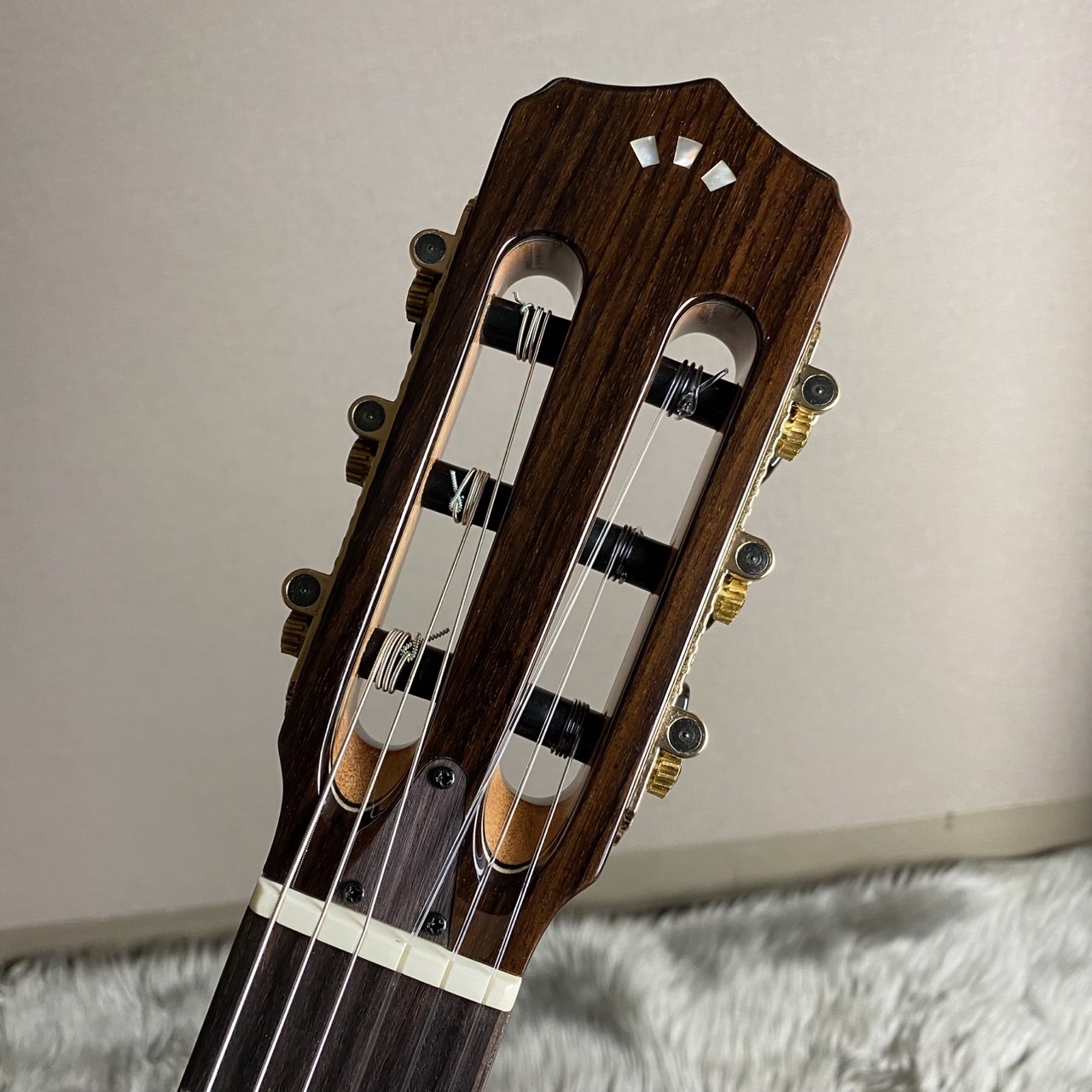 Cordoba Stage Guitar -Natural Amber エレガット 【木目良】【現物