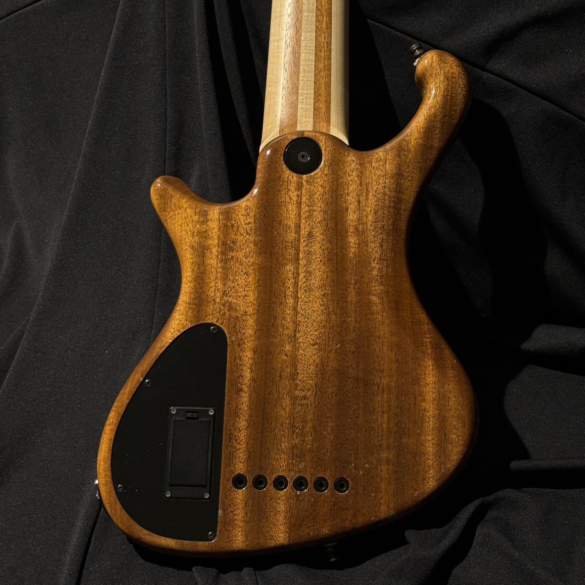 FREEDOM CUSTOM GUITAR RESEARCH Dulake Flat 6st Buckeye Burl