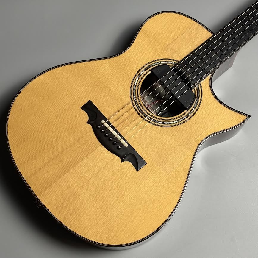 TORU FUJII GUITARS OMC-1 【SUNRISEデュアルピックアップシステム付