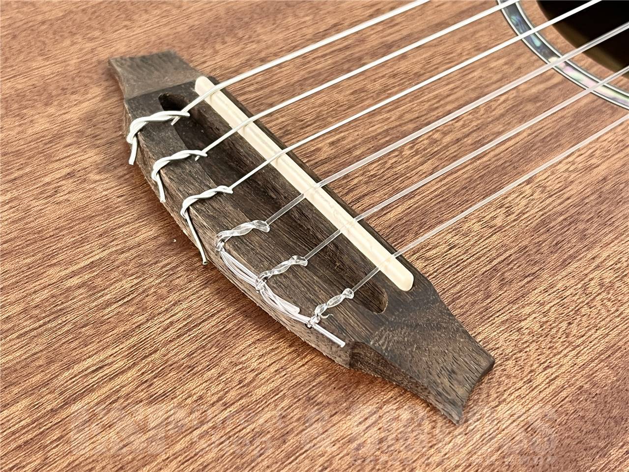 Cordoba MINI II MAHO（新品/送料無料）【楽器検索デジマート】