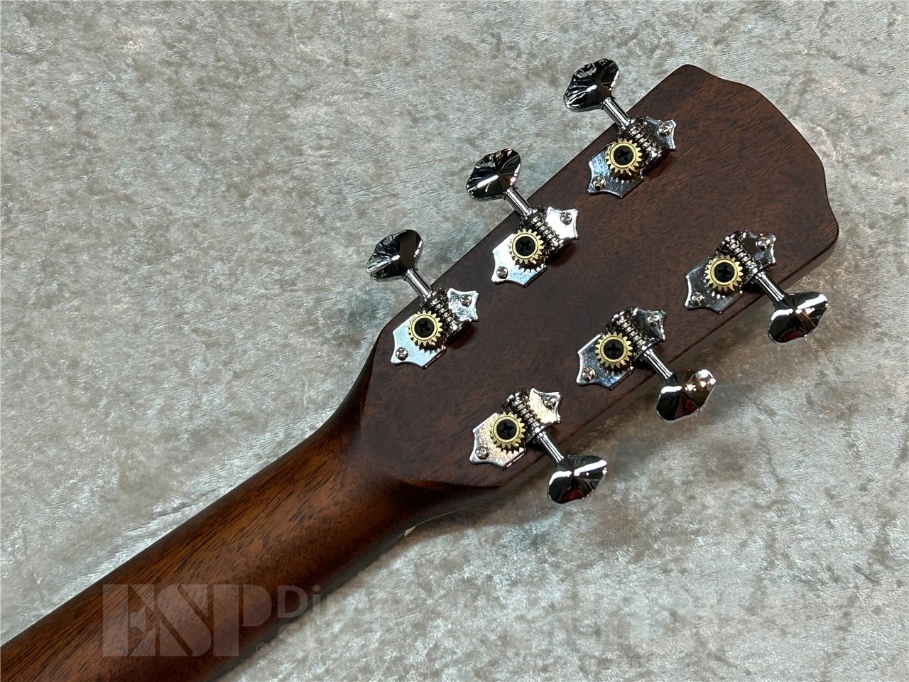 Morris F-1 (BS)（新品/送料無料）【楽器検索デジマート】