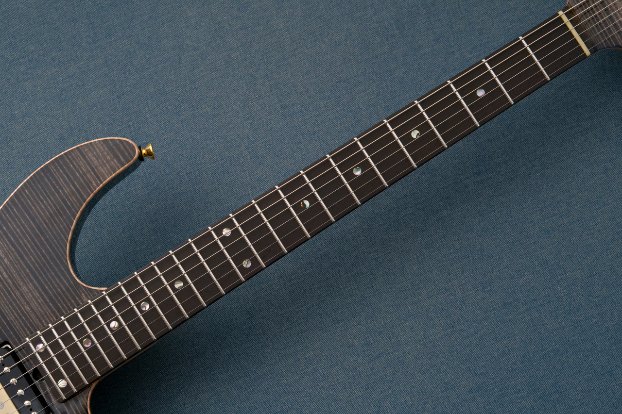 T's Guitars DST Pro 24 -Trans Black w/Antique Gold Wrap Back