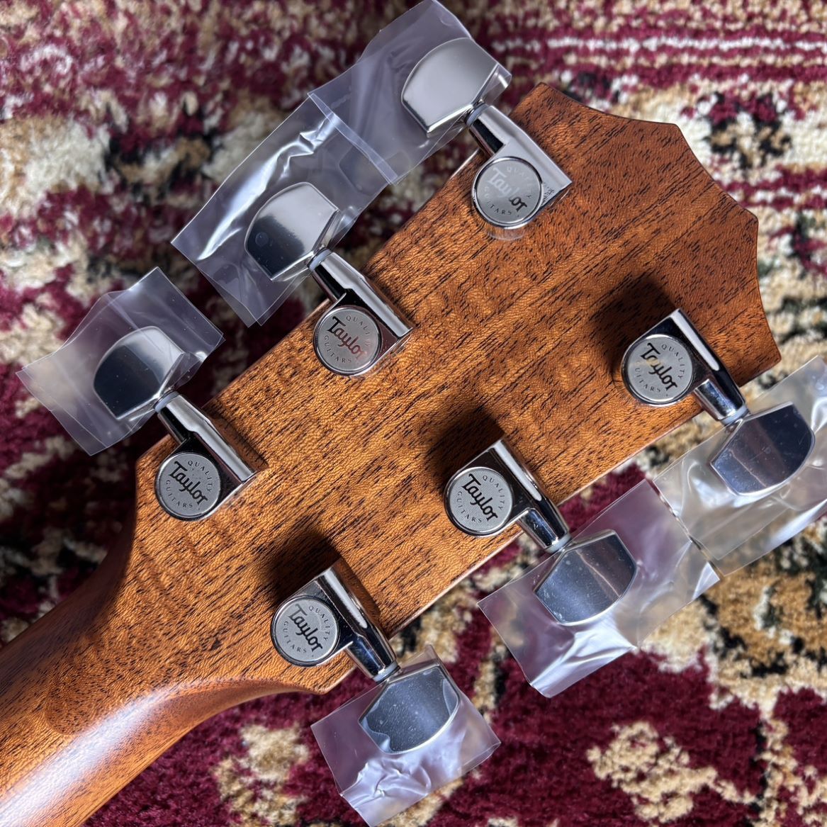 Taylor （テイラー）414ce NEXT GEN（新品/送料無料）【楽器検索