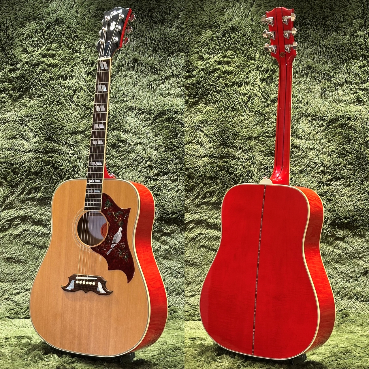 超美品希少品　Gibson Dove custom2015年製 Gibson DOVE【現物動画あり】【2015年製中古】【カスタム