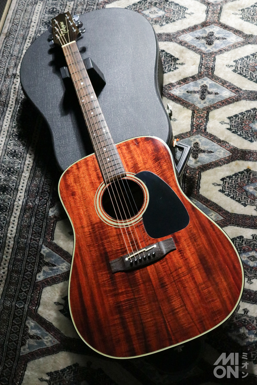 Takamine PT207 エレアコ　コア希少 Takamine PT207 エレアコ コア希少