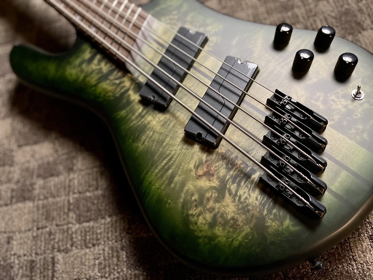 Spector NS DIMENSION MS 5 Haunted Moss Matte 選定個体 4.29kg