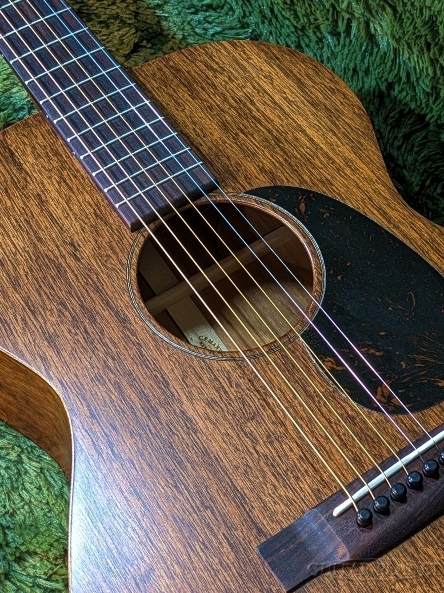 TAMINE TD23 オールマホガニーボディ TAMINE TD23 オール