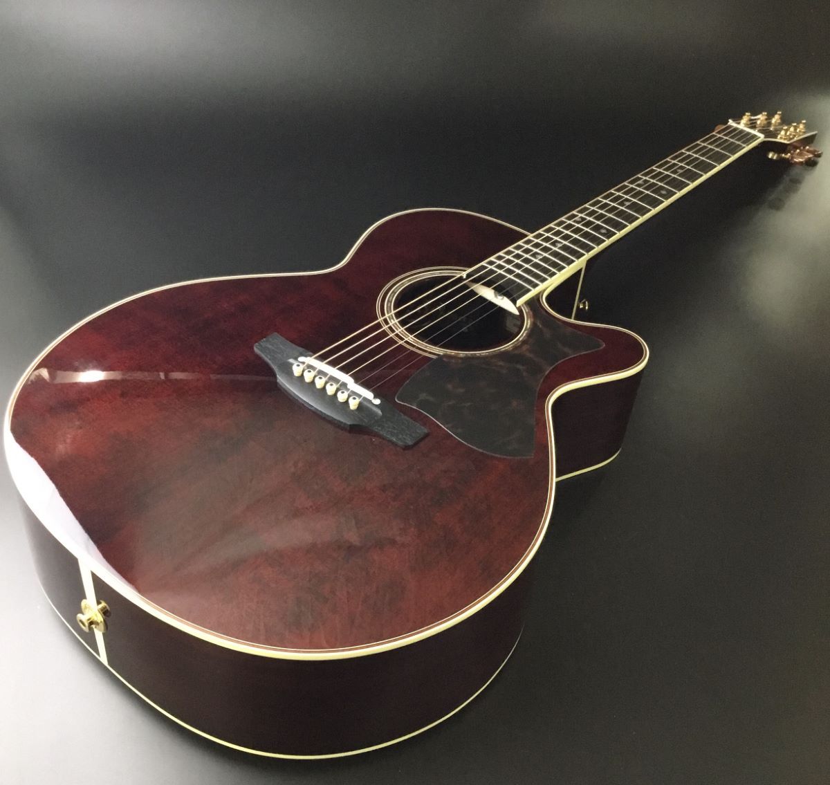 Takamine DMP50S（エレクトリック・アコースティックギター） - 器材
