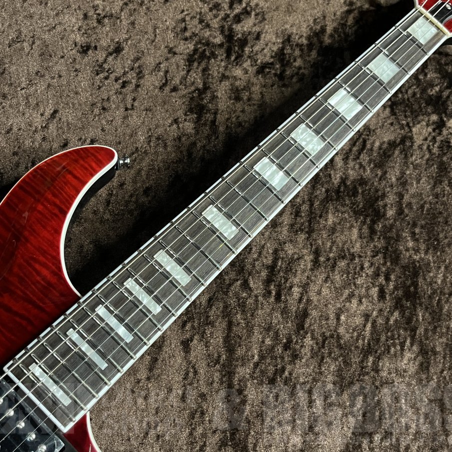 GrassRoots G-MYSTIQUE【Black Cherry】（新品/送料無料）【楽器検索