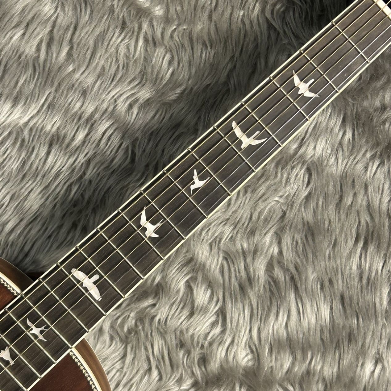 Paul Reed Smith(PRS) SE Parlor VM アコースティックギター
