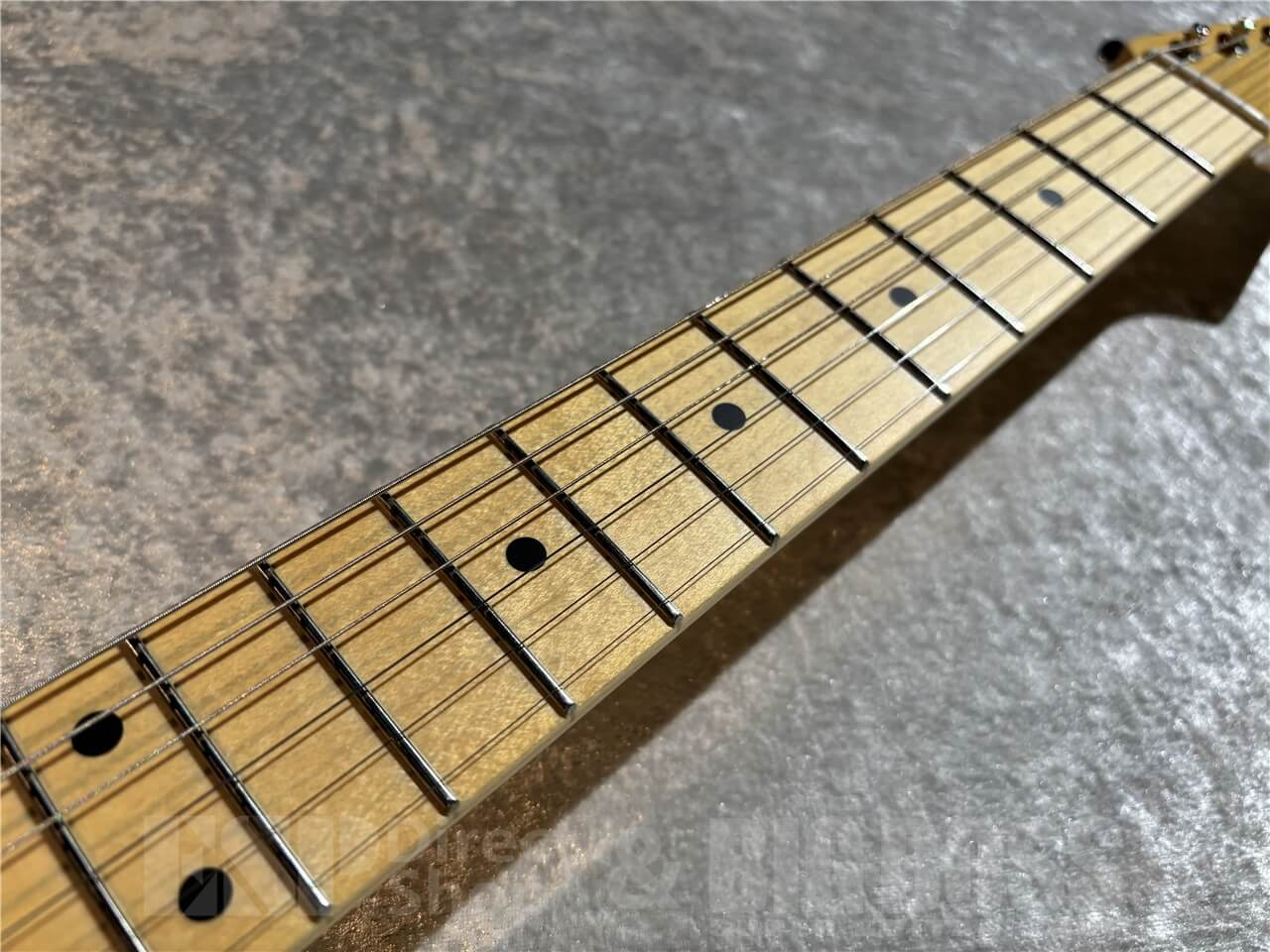 FUJIGEN(FGN) Neo Classic NTE110MMHT-TBL（新品/送料無料）【楽器検索