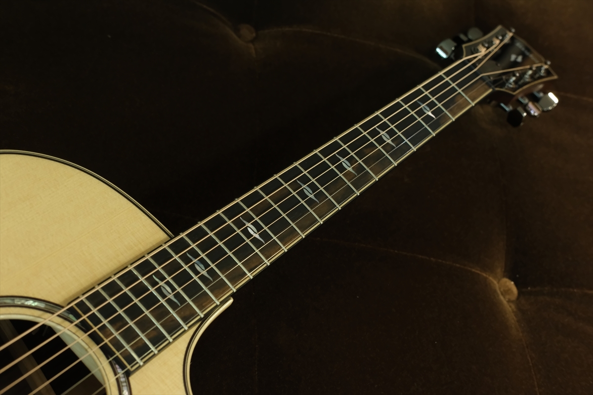 Taylor 814ce J-Spec 【日本限定仕様】【ナット幅細め】（新品/送料