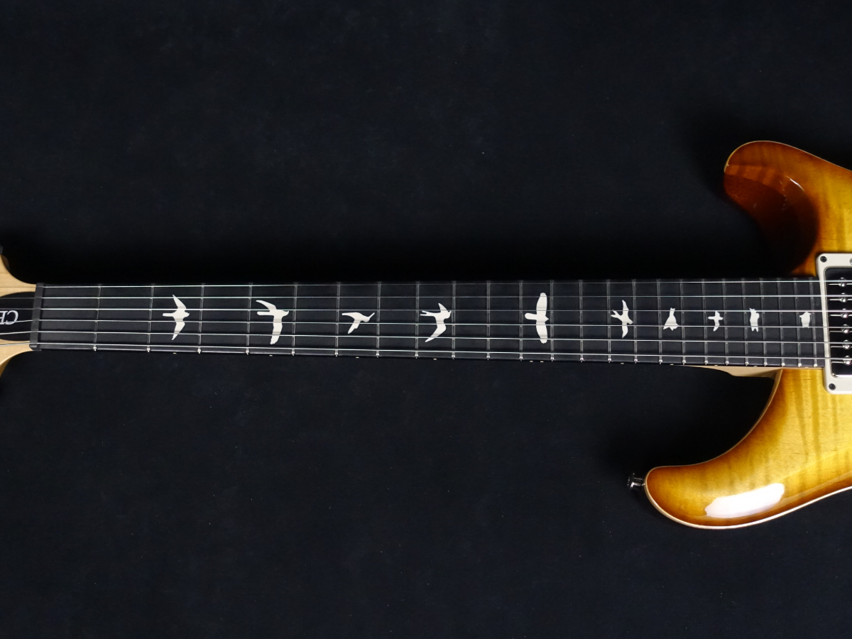 Paul Reed Smith(PRS) CE 24 Semi-Hollow Custom Configuration