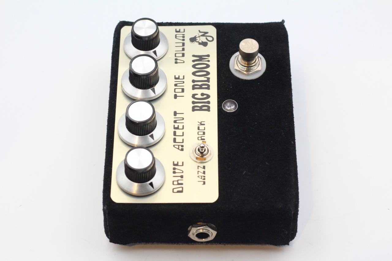 AMPLIFIED NATION BIG BLOOM（中古）【楽器検索デジマート】