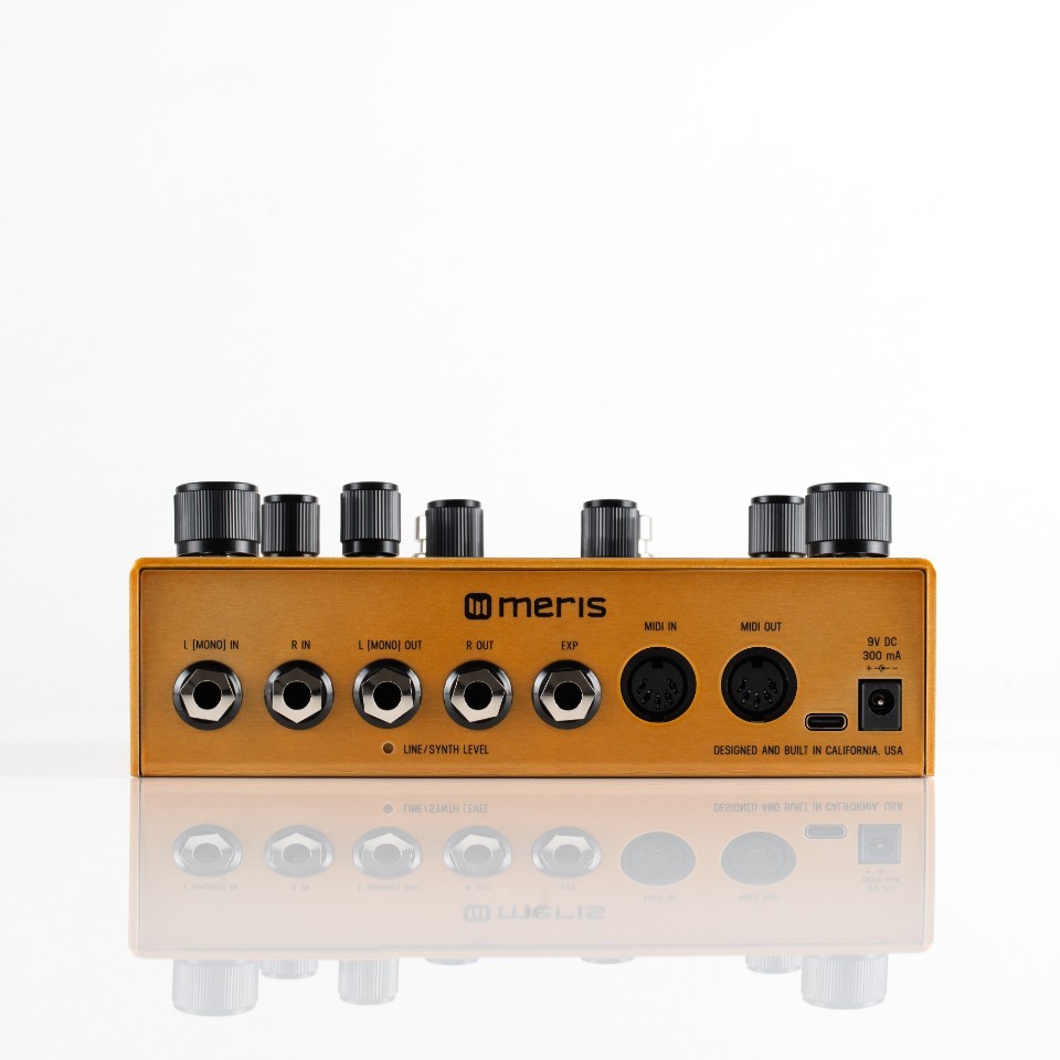特価商品  meris X（新品）【楽器検索デジマート】 Enzo ギター