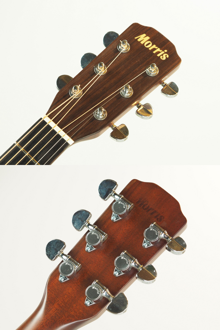 Morris M-60(管理番号4905)（中古）【楽器検索デジマート】