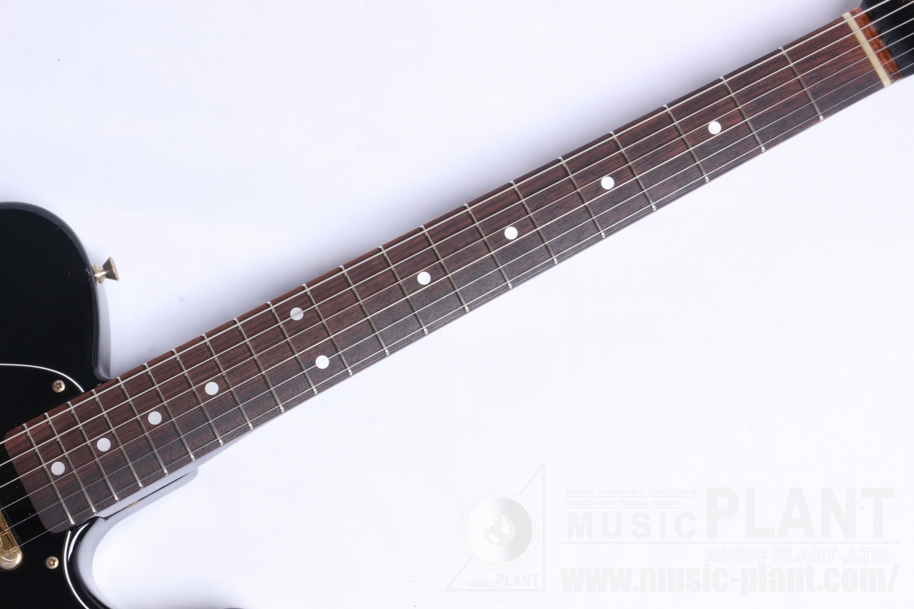 Fender Japan TLG80-55（中古/送料無料）【楽器検索デジマート】