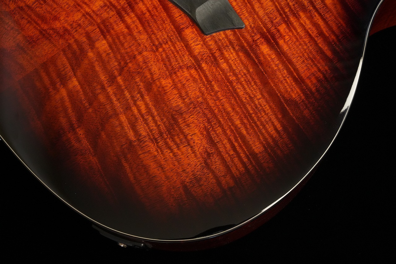Washburn WCG12FCE エレアコギター（新品特価/送料無料）【楽器検索