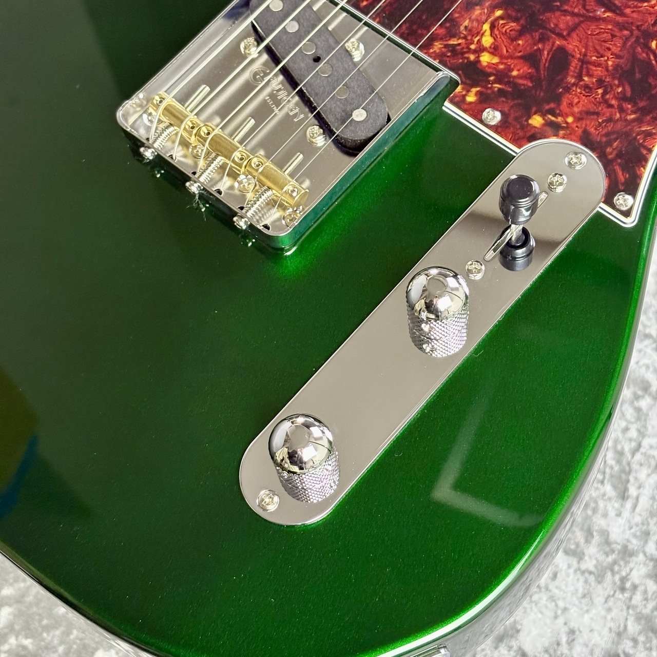 FUJIGEN(FGN) NTE100RAL-CAG ~Candy Apple Green~ #C250053 [3.79kg