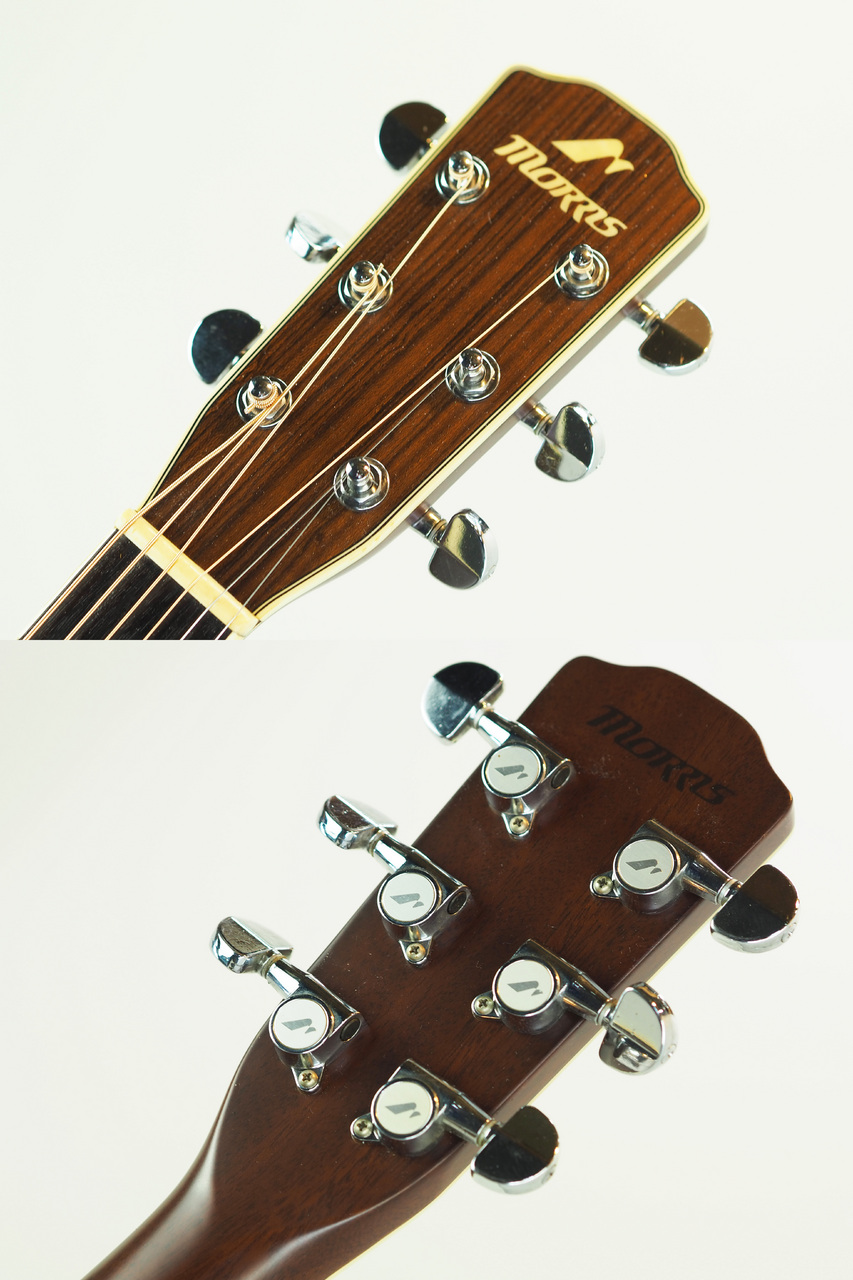 Morris RA800P (管理番号4983)（中古）【楽器検索デジマート】