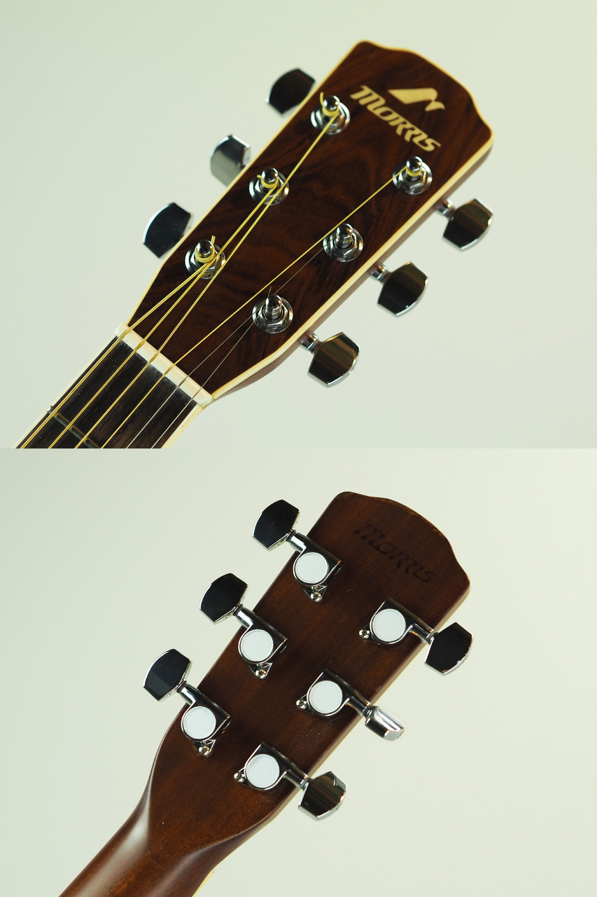 Morris MF-501(管理番号4944)（中古）【楽器検索デジマート】