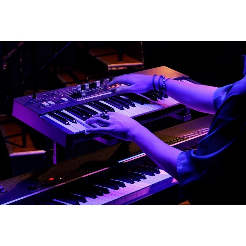Hammond M-solo (49鍵盤・ハモンドドローバーオルガン)（新品/送料無料