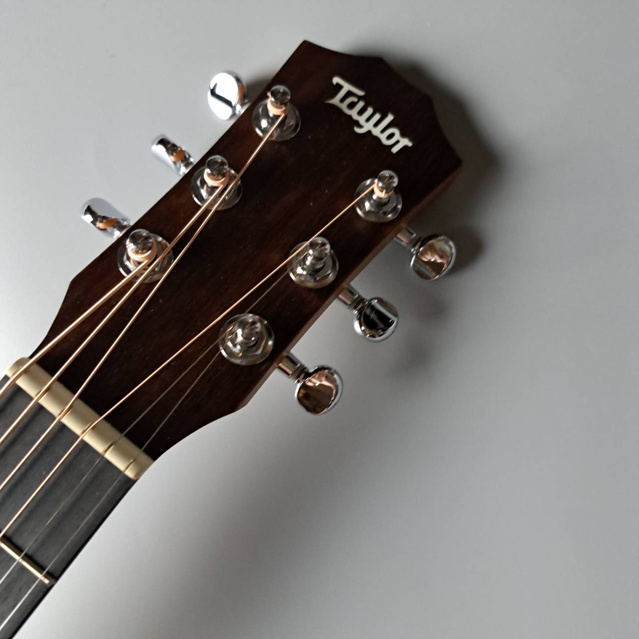 Taylor Baby Taylor NAT ミニギター アコースティックギターBT-1（新品